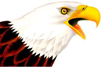 Eagle