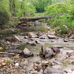 Proctor Creek Watershed/Atlanta (GA)