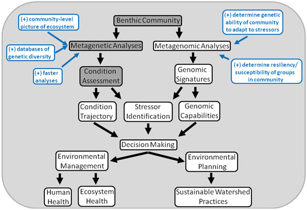 DNA Barcoding Flow