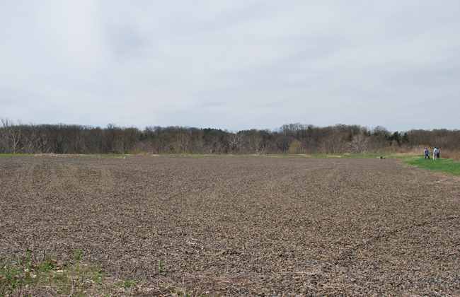 Plant Pile plateau at Ambler Asbestos site