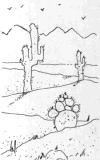 Cactus in desert