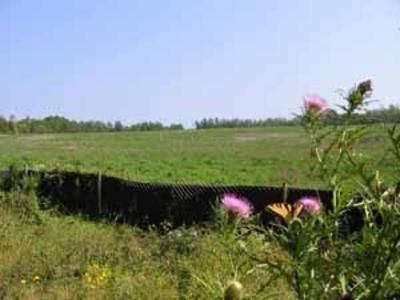 The Southern Maryland Wood Treating site after clean up, revegetated with native wildflowers and grains to create a wildlife habitat.