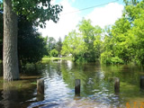 Flooding at Fred Garner Park, June 2001