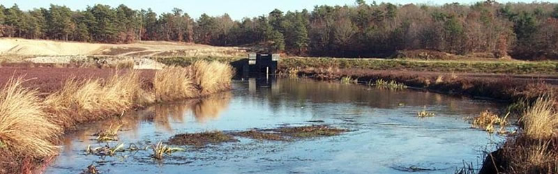 Quashnet River in Cape Cod, MA [Photo Credit: USGS]