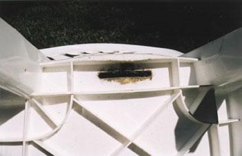 Mold growing under plastic chair