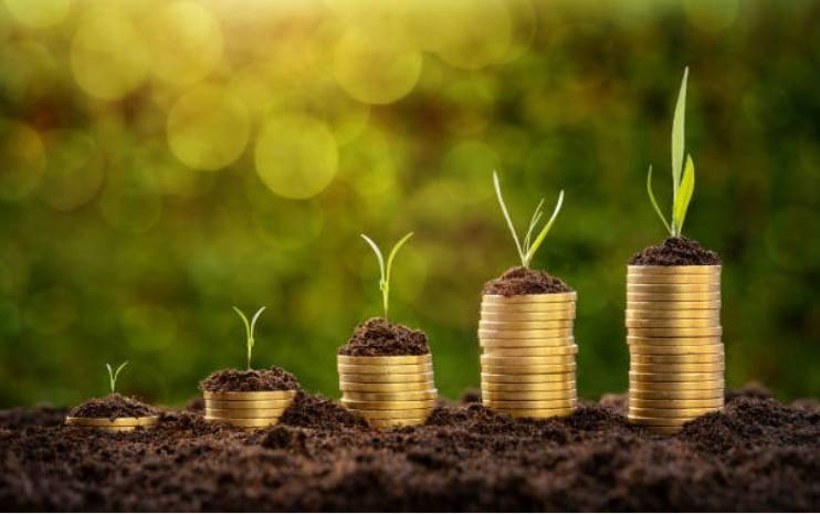 Coins stacked in soil with plants on top to symbolize environmental accounting.