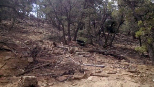 Mine entrance is closed and covered to blend in with surroundings with what apears to be trea limbs and debris matching the surrounding area.