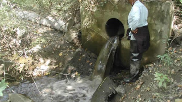 Volunteer at storm water outfall.