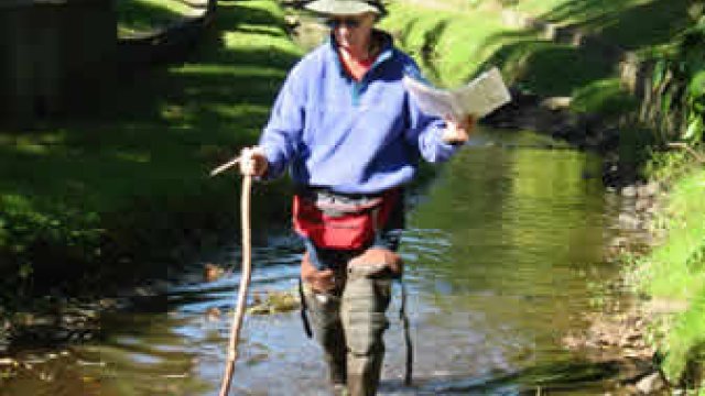 Volunteer surveying stream habitat.