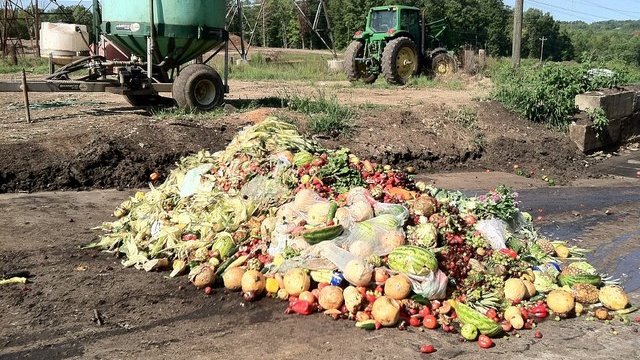 This is a picture of a pile of food waste 