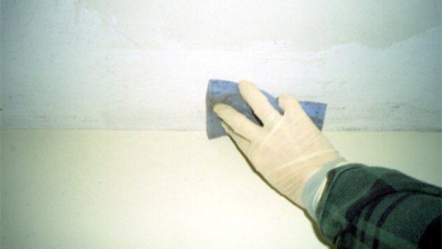 Mold Cleanup