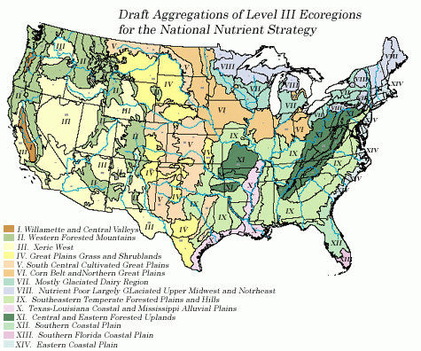 Text: Draft Aggregations of Level III Ecoregions for the National Nutrient Survey. Ecoregion I: Willamette and Central Valleys; Ecoregion II: Western Forested Mountains; Ecoregion III: Xeric West; Ecoregion IV: Great Plains Grass and Shrublands; Ecoregion V: South Central Cultivated Great Plains; Ecoregion VI: Corn Belt And Northern Great Plains; Ecoregion VII: Mostly Glaciated Dairy Region; Ecoregion VIII: Nutrient-Poor, Largely Glaciated Upper Midwest and Northeast; Ecoregion IX: Southeastern Temperate Forested Plains and Hills; Ecoregion X: Texas-Louisiana Coastal and Mississippi Alluvial Plains; Ecoregion XI: The Central and Eastern Forested Uplands; Ecoregion XII: Southeastern Coastal Plain; Ecoregion XIV: Eastern Coastal Plain