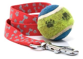 leash and ball