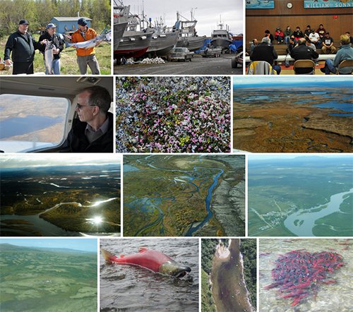 Image of EPA's Bristol Bay photo set on Flickr