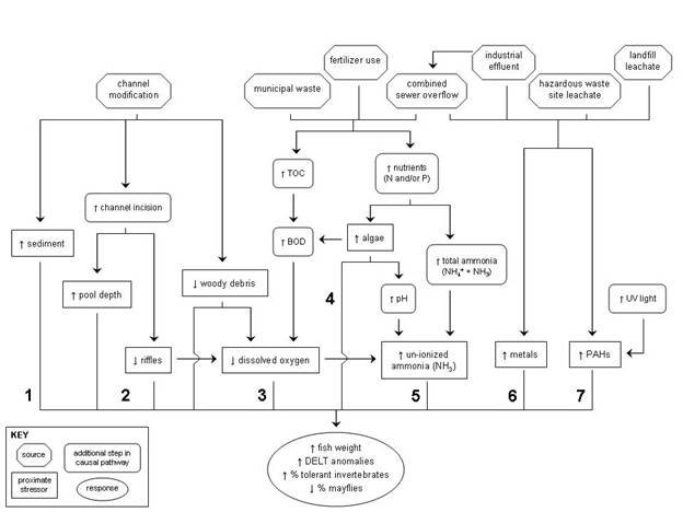 Figure 5. A simple conceptual model diagram of the six candidate causes for the Little Scioto stressor identification (revised August 2005)