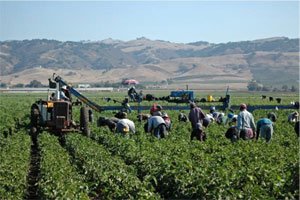 farmworkers