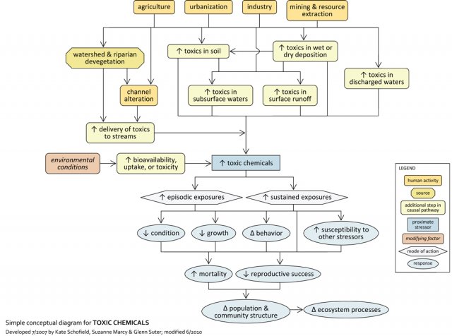 A simple conceptual diagram illustrating causal pathways, from sources to impairments, related to unspecified toxic chemicals