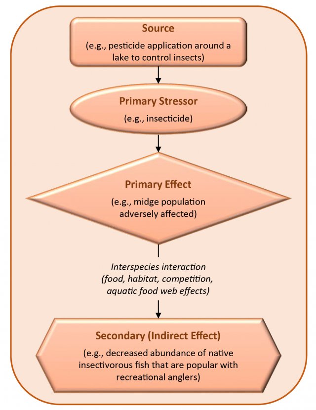 Example of Chemical Stressor (Pesticide)