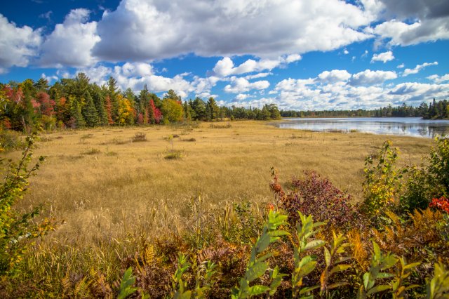 Photo of a field, with clouds in the sky.