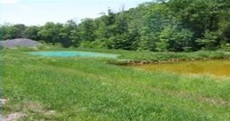 A treatment pond for acid mine drainage discharge.