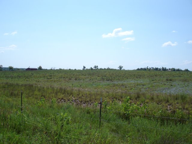 Today, the site is covered with acres of tall, waving grass harboring birds and small mammals