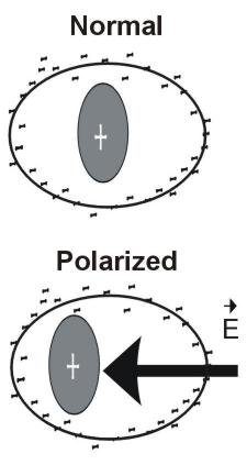 Displacement of charge