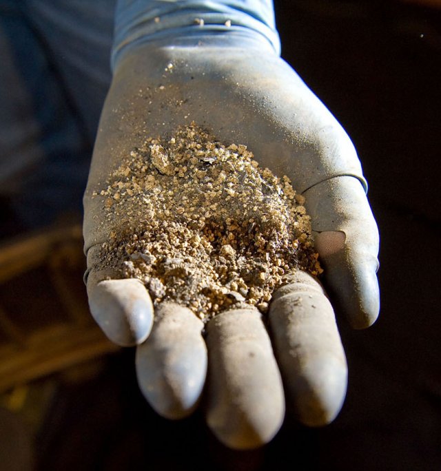 Gloved hand holding a palmful of dry soil