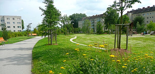 Green Infrastructure Banner