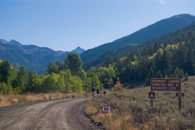 Western U.S. Forest