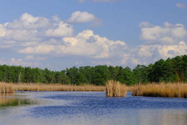 Scenic wetland