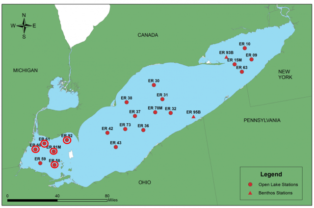 The 5 stations in Lake Erie where Thermocyclops crassus individuals have been found