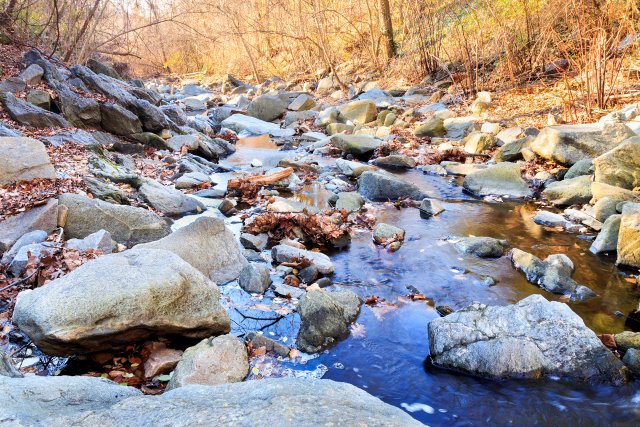 Water runs through a small stream