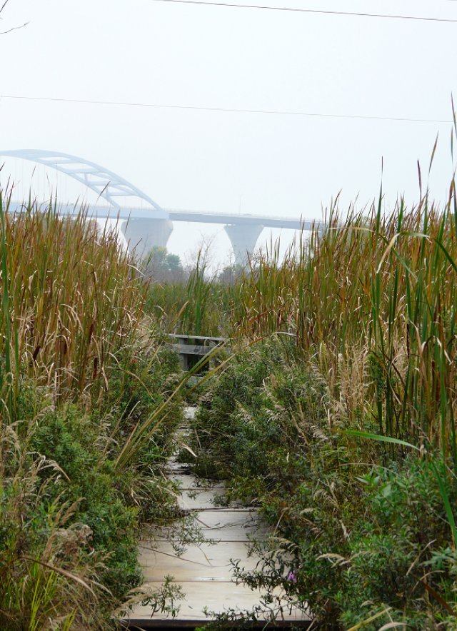 a dilapidated boardwalk at Grassy Point