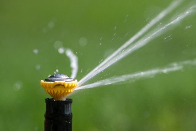 Sprinkler watering grass.