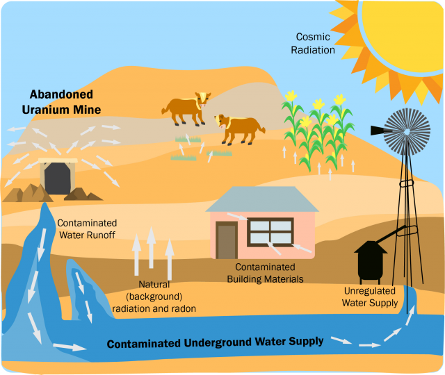 This image shows an example radiation exposure web, with the different ways radioactive contaminants can get into water and food supplies.