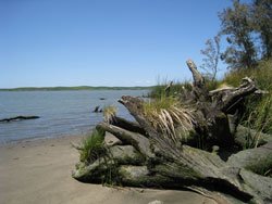 3 Mile Slough