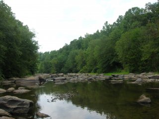 Photo of a reference stream