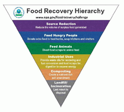 Food Recovery Hierarchy