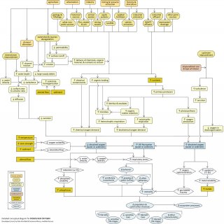 Snapshot of a detailed conceptual model diagram for dissolved oxygen.