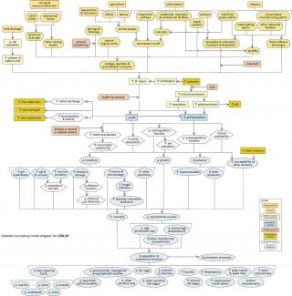 Snapshot of a detailed conceptual model diagram for Low pH. 