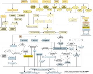 Snapshot of a detailed conceptual model diagram for nutrients (phosphorus).