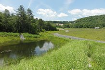 Stormwater drainage channel and retention basin at the Elizabeth Mine site.