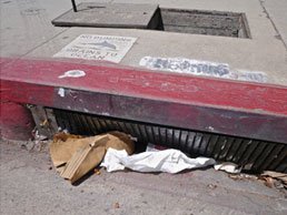 Metal, vertical, curtain likestrips covering a storm drain inlet.