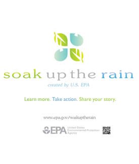 Soak Up the Rain Banner