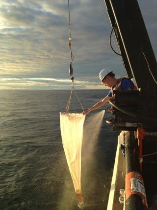 Zooplankton Sampling