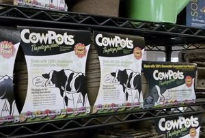 Freund Farm CowPots for sale