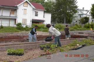 Burton Street Community Garden After Environmental Reclamation