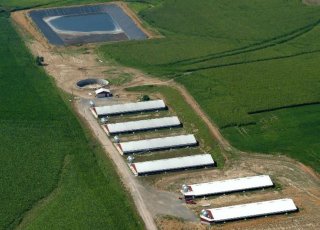 Danny Kluthe Farm in Dodge, NE