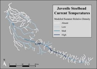 Figure of an example stream network (Calapooia River, Oregon) illustrating the distribution and relative density of juvenile steelhead trout (Oncorhynchus mykiss) as predicted by a SMRF model.