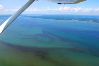 Chesapeake Bay-Aerial view-nutrients